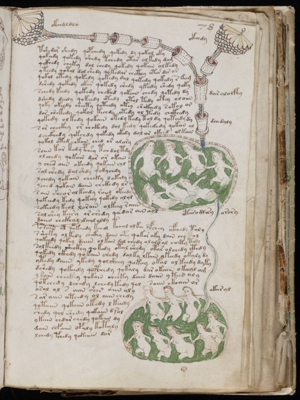 Eine Seite aus dem kryptischen Voynich-Manuskript.