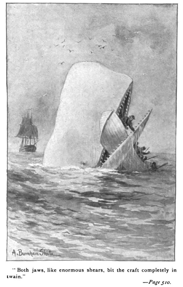 Illustration von Moby Dick.