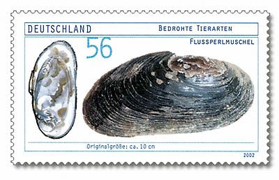 Eine Briefmarke zeigt die Flussperlmuschel, auch wenn dieses Exemplar keine Perlen trägt.